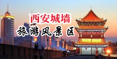 啊啊啊操我骚逼行不行视频中国陕西-西安城墙旅游风景区